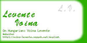 levente voina business card